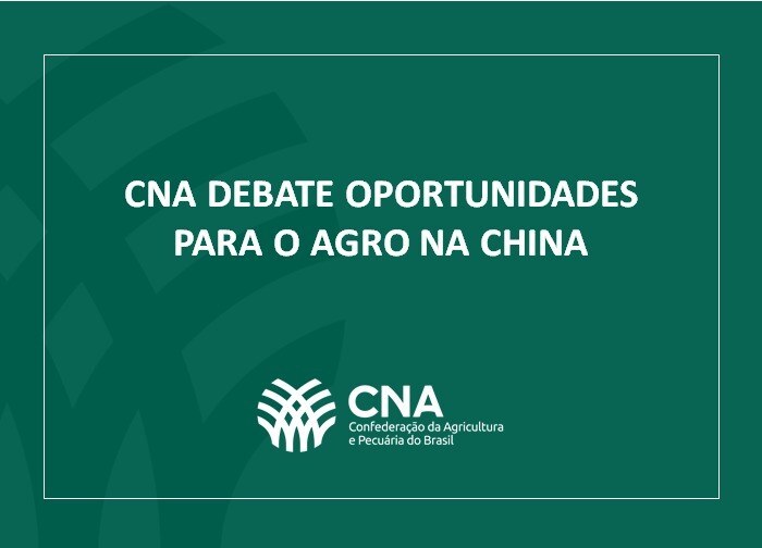 Oportunidades na chian