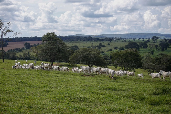 Paisagens rurais