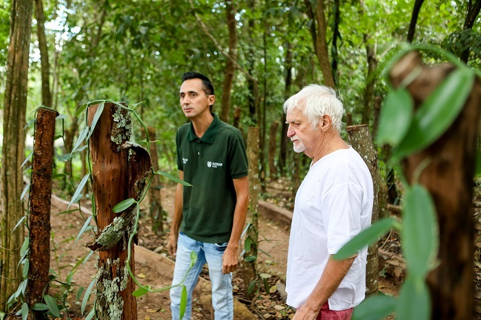 Plantacao dr baunilha em estacas caso de sucesso baunilha cocalzinho de goias 06 05 2024 fredoxcarvalho 98