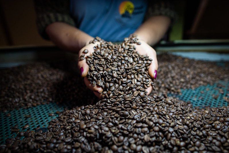 Producao de cafe em minas gerais