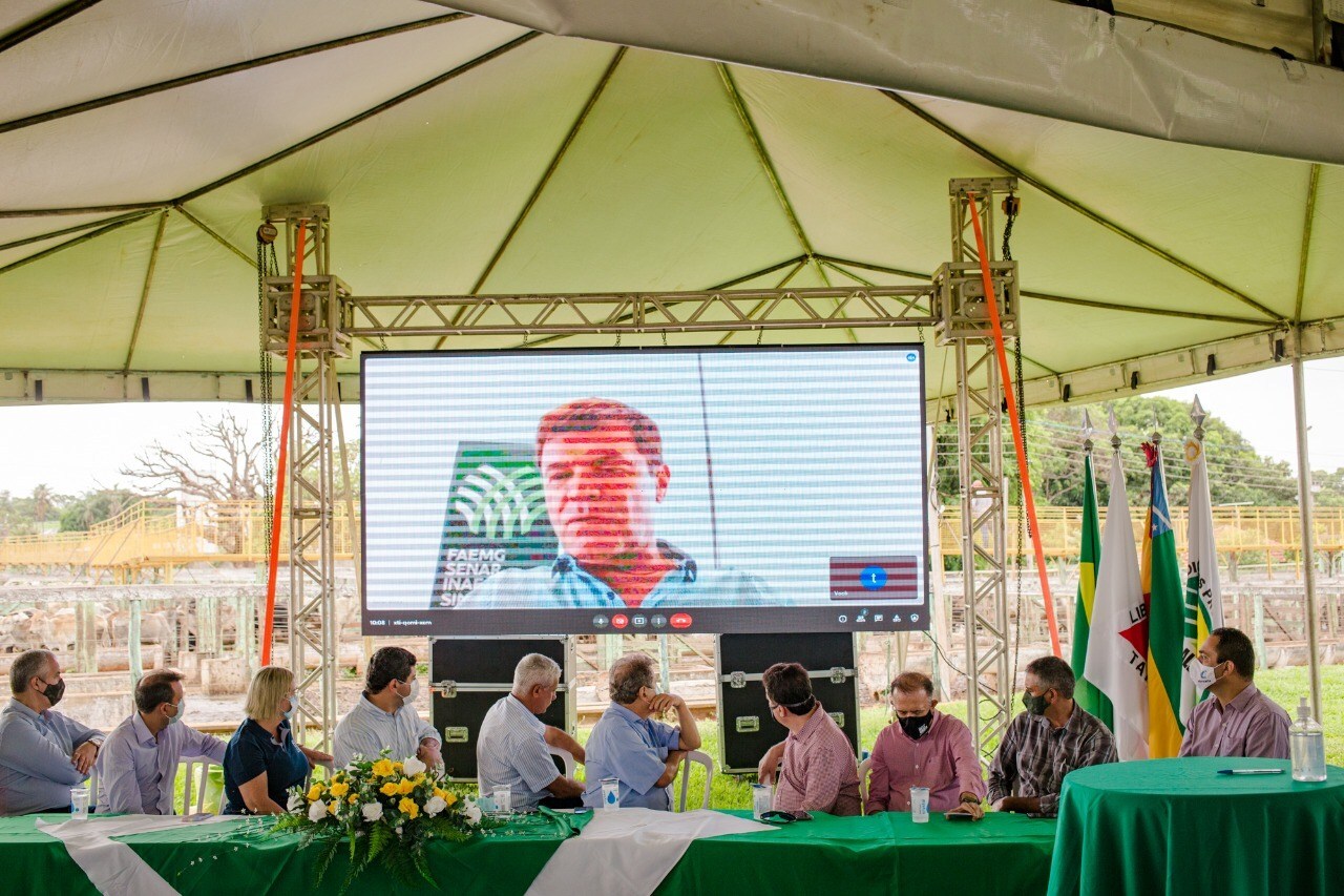 Produtores de leite de Minas 2