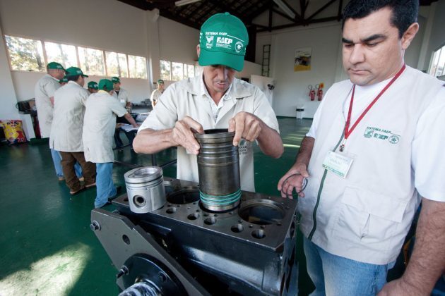 Trabalho campo